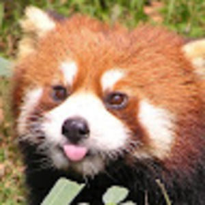 Meet your Posher, Mae